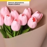 Пленка матовая 60см х 10м на втулке капучино Пленка матовая 60см х 10м на втулке капучино