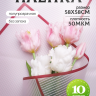 Пленка матовая 58смх58см 10 листов 50мкм Полоски розовый нежный с розовым пыльным кантом