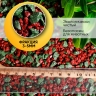 Грунт смесь цветная 1кг 3-5мм №01 Грунт смесь цветная 1кг 3-5мм №01