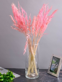 ИЦ Овес 30шт 60см розовый