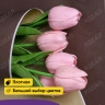 Бумага белая крафт 50г/м2, 70см x 10м, Тонировка 2-х сторонняя, шоколад/золото Бумага белая крафт 50г/м2, 70см x 10м, Тонировка 2-х сторонняя, шоколад/золото