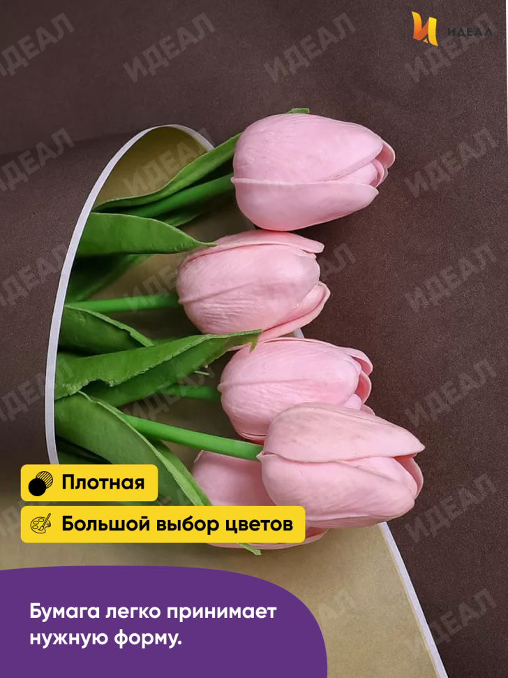 Бумага белая крафт 50г/м2, 70см x 10м, Тонировка 2-х сторонняя, шоколад/золото Бумага белая крафт 50г/м2, 70см x 10м, Тонировка 2-х сторонняя, шоколад/золото